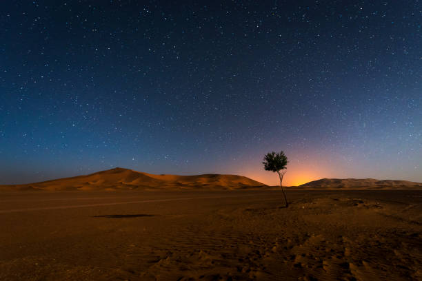 Tour di 2 giorni nel deserto di Zagora da Marrakech