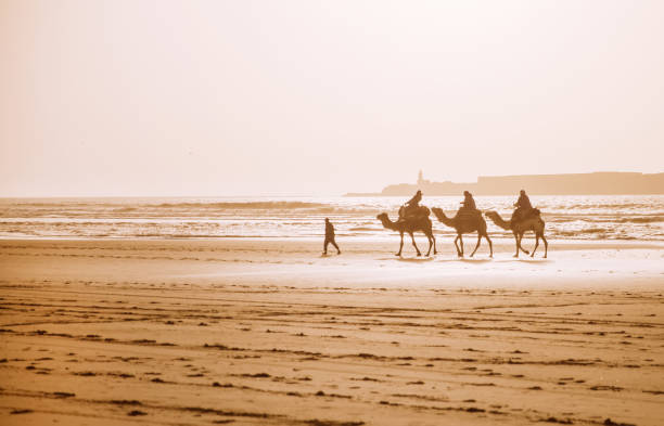 Gita di un giorno a Essaouira