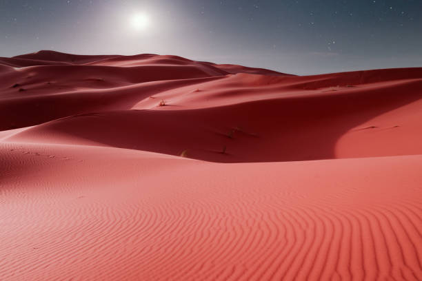 Tour del deserto di 3 giorni da Marrakech a Fes