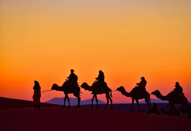 Tour del deserto di 3 giorni da Marrakech a Fes