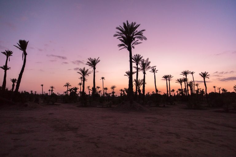 Tour di 2 giorni nel deserto di Zagora da Marrakech