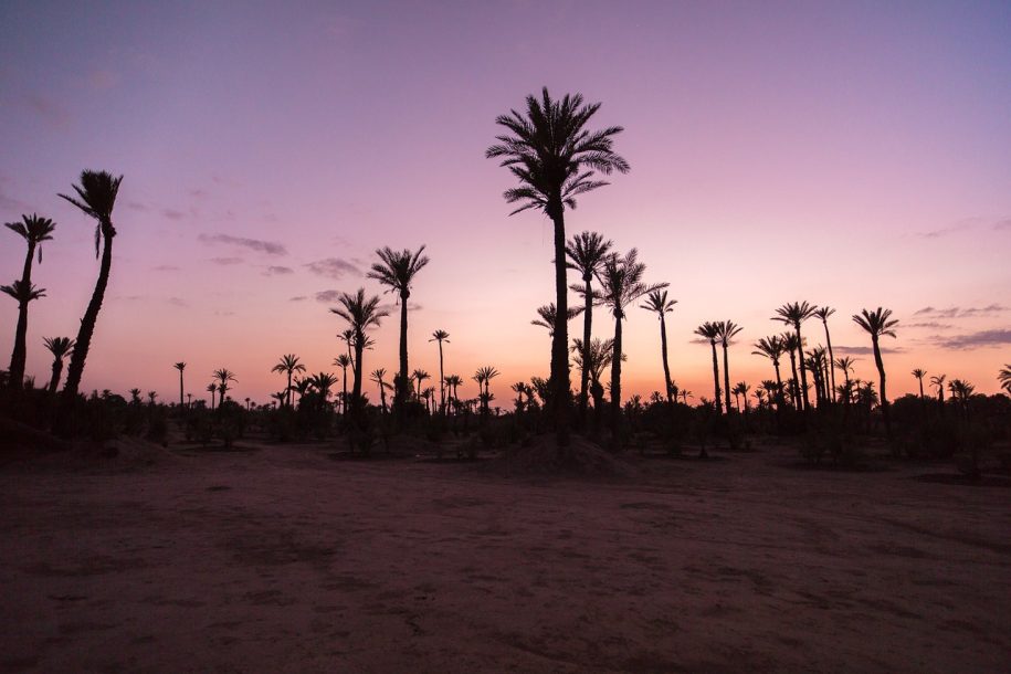 Tour di 2 giorni nel deserto di Zagora da Marrakech